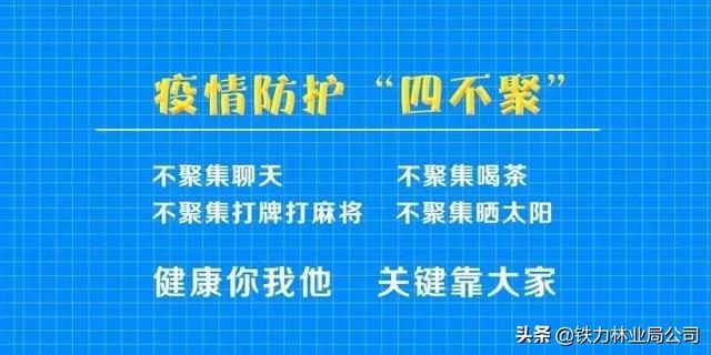 新澳门免费精准大全与新澳门天天免费精准详细解答、解释与落实